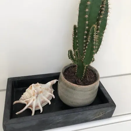 Zandvoortferienwohnungen Appartement *