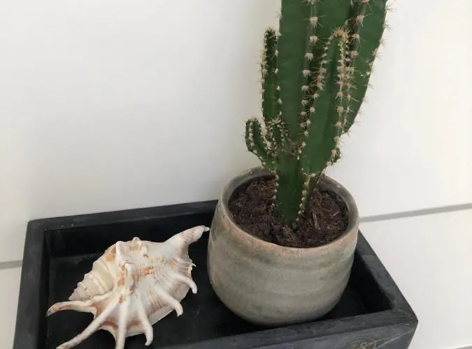 Zandvoortferienwohnungen Апартаменты *