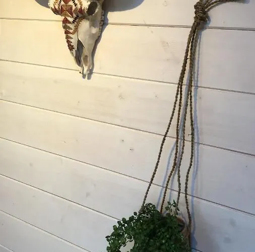 Zandvoortferienwohnungen Апартаменты *