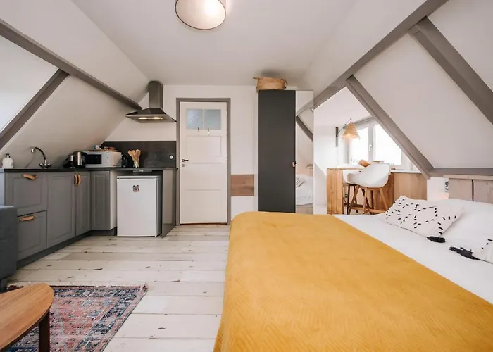 Апартаменты Zandvoortferienwohnungen *