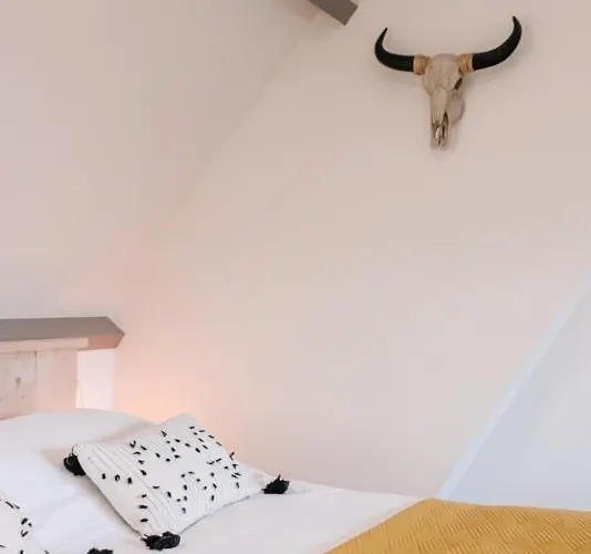 Апартаменты Zandvoortferienwohnungen *