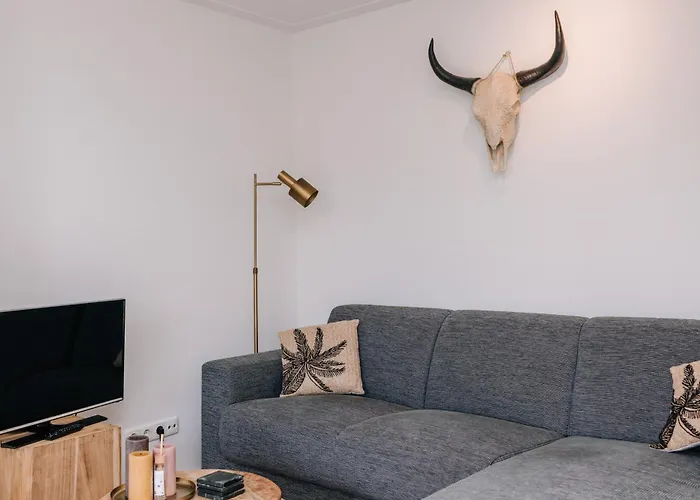 Zandvoortferienwohnungen Зандфорт