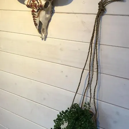 Zandvoortferienwohnungen Appartement *